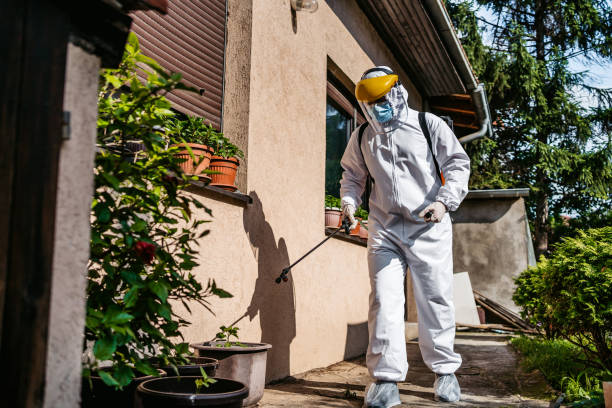 Best Cockroach Control Services  in Buffalo Grove, IL