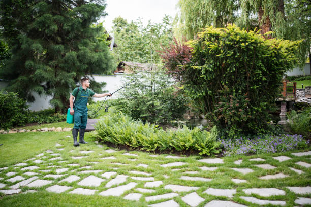 Professional Pest Control in Buffalo Grove, IL