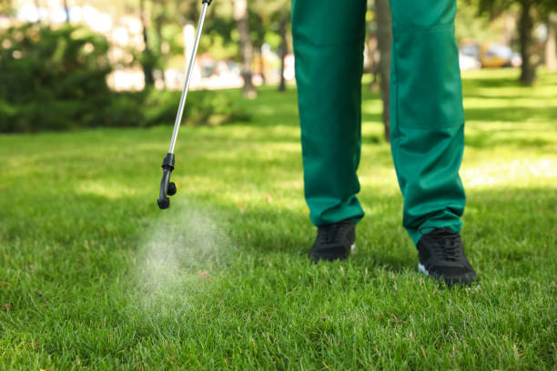 Best Flea Control Services  in Buffalo Grove, IL