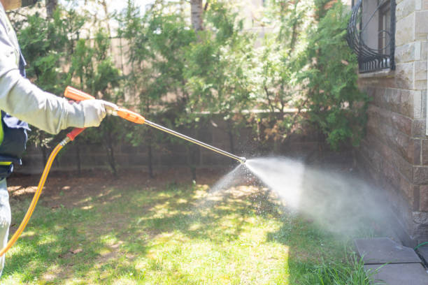 Best Wasp Removal Services  in Buffalo Grove, IL