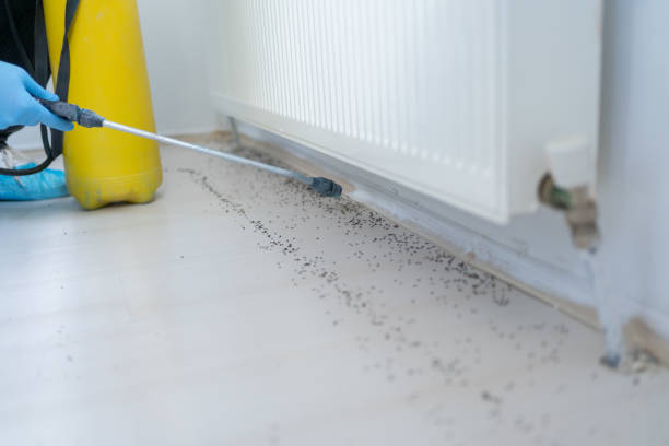 Best Mosquito Control Services  in Buffalo Grove, IL