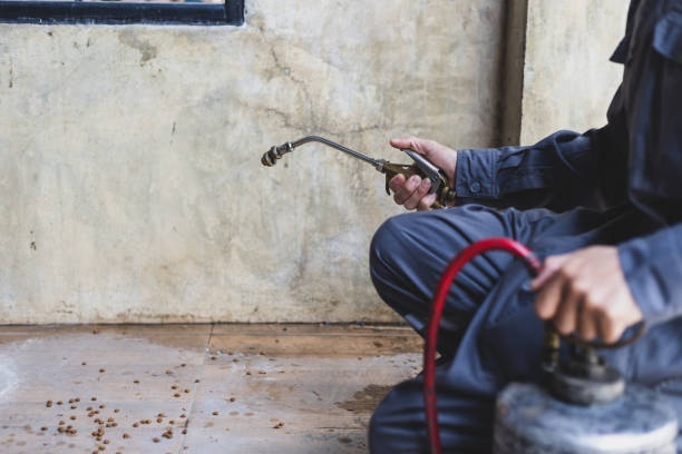 Best Local Pest Control Services  in Buffalo Grove, IL