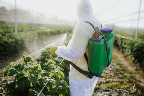 Best Exterminator Services  in Buffalo Grove, IL